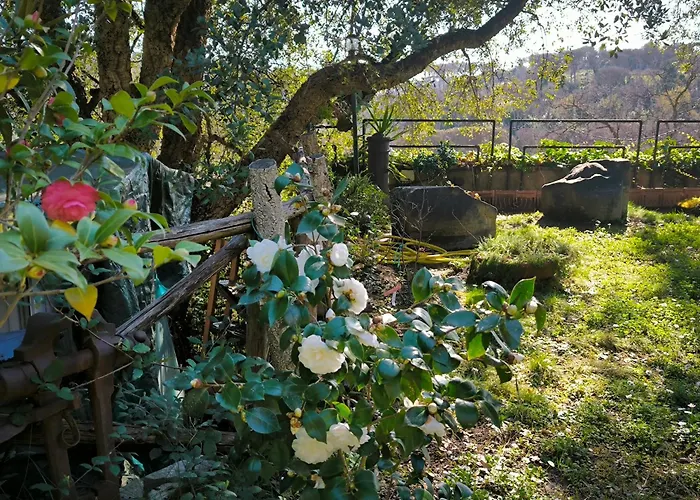 Cassia, Luminoso Open Space Nel Verde , Casa Dei Leoni