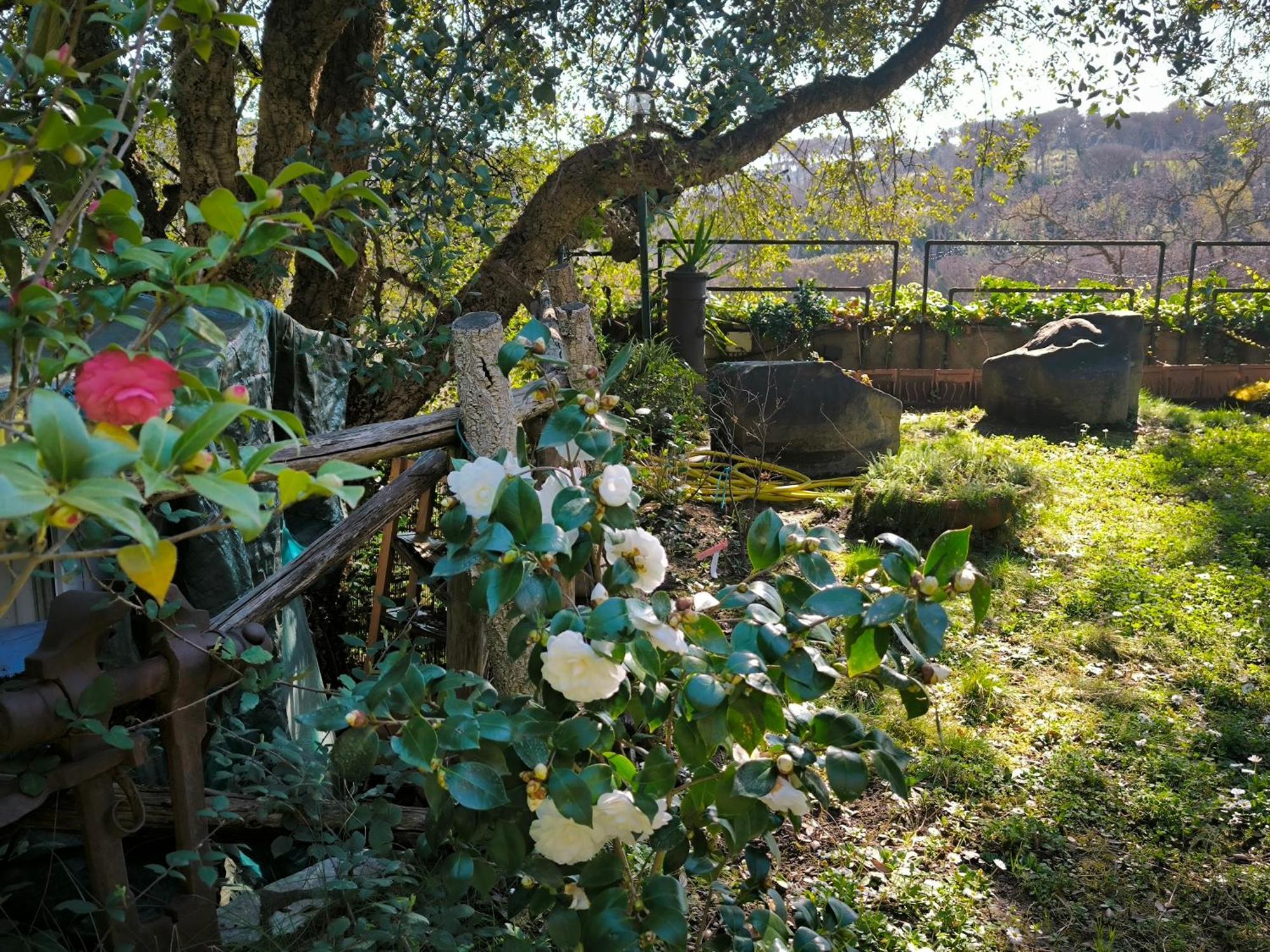 Cassia, Luminoso Open Space Nel , Casa Dei Leoni Apartment Rome